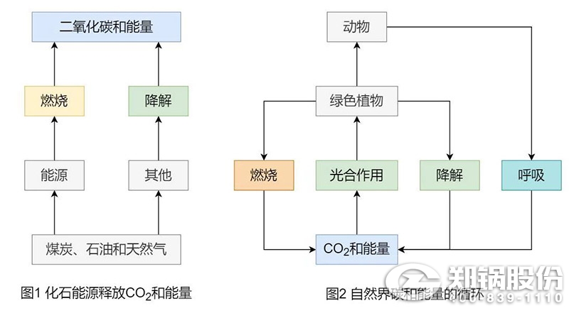 为什么说生物质能是“零碳”能源1.jpg