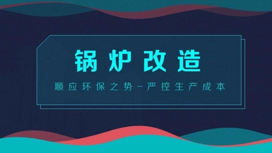 锅炉改造——顺应环保之势，严控生产成本